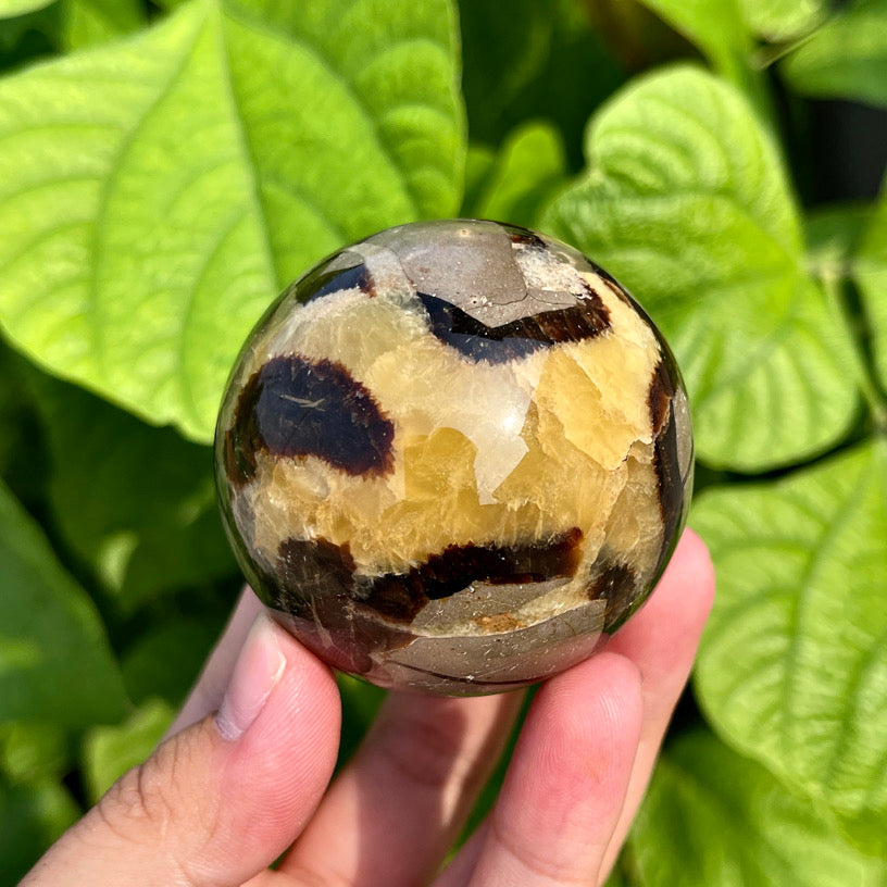 Septarian Sphere