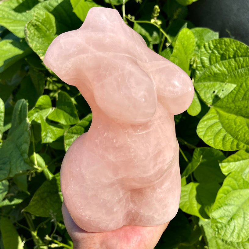 7″+ Rose Quartz Model