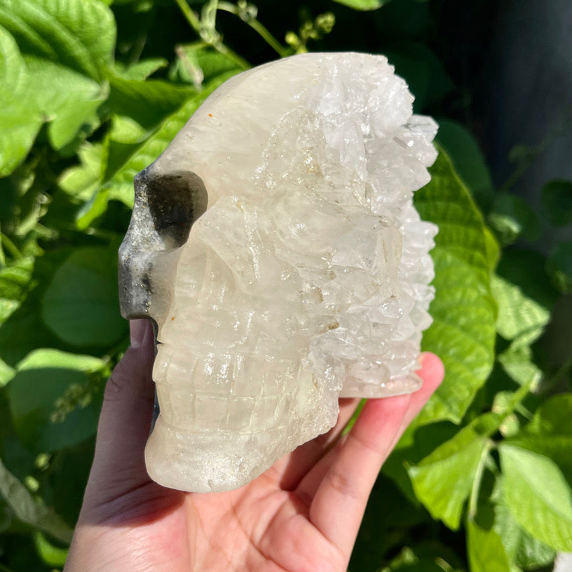 5.5″+ Clear Quartz Cluster Skull