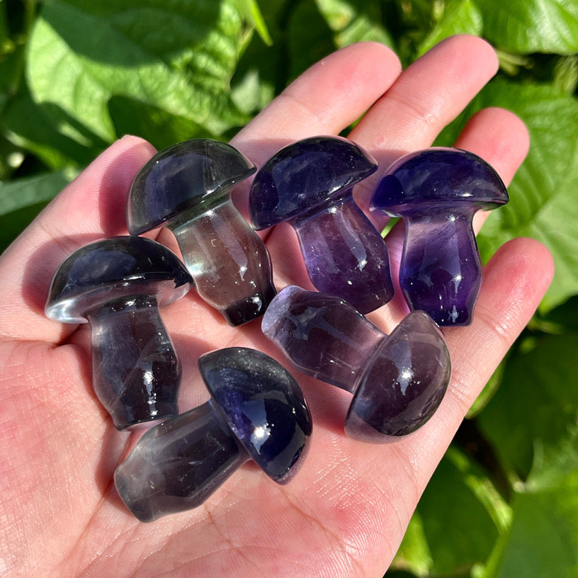 Fluorite Mushroom