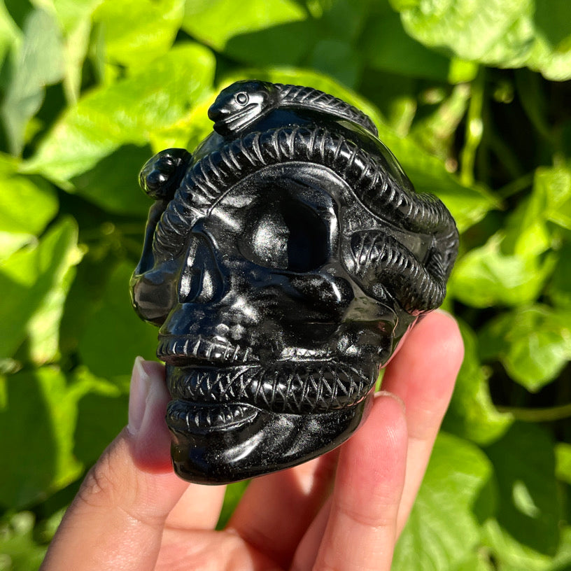 Obsidian Snake Skull