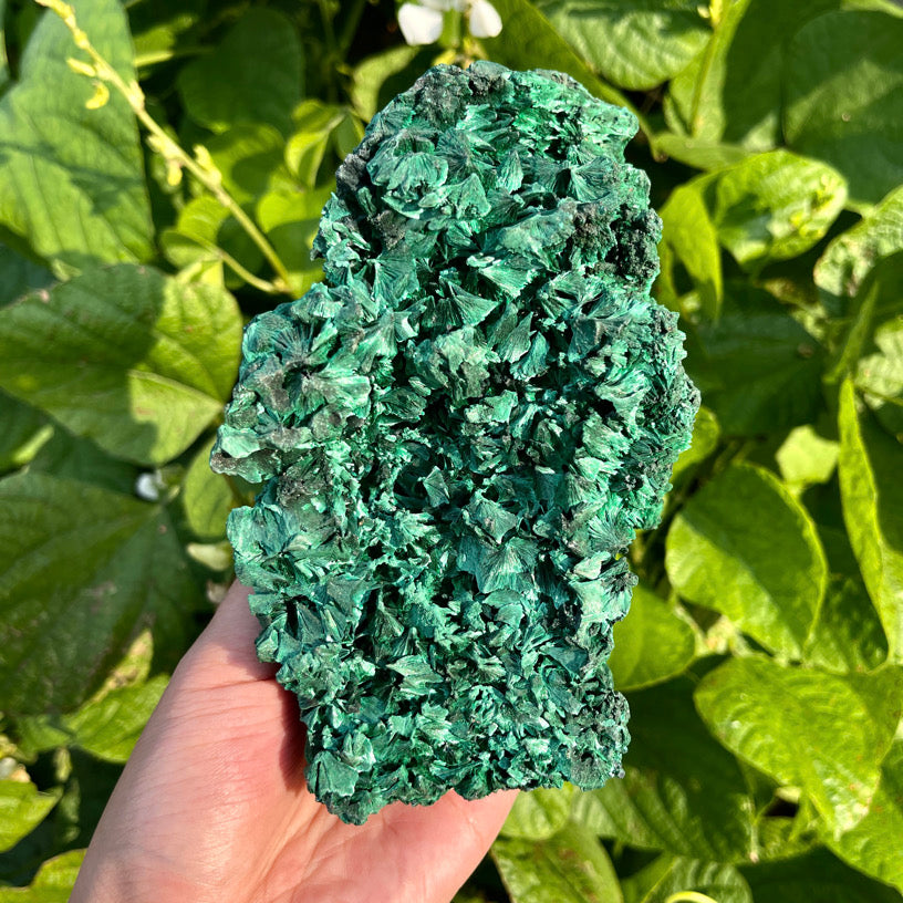 692g Malachite Specimen