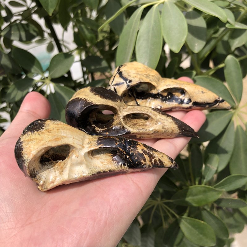Three crystal bird skulls carved from picture jasper, displayed on a palm.