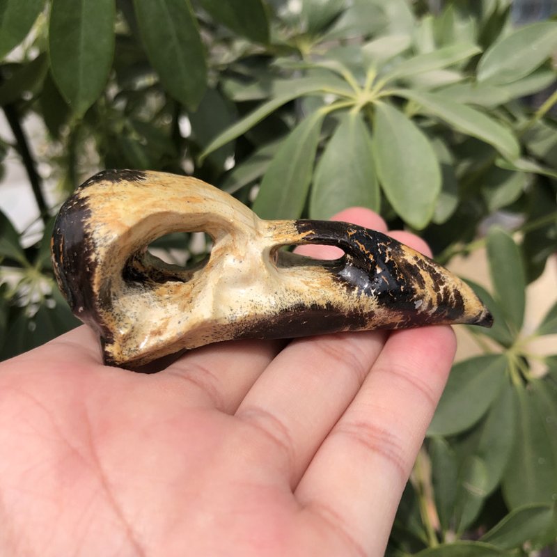 Hand-carved picture jasper bird skull crystal, nature background, witchy decor.