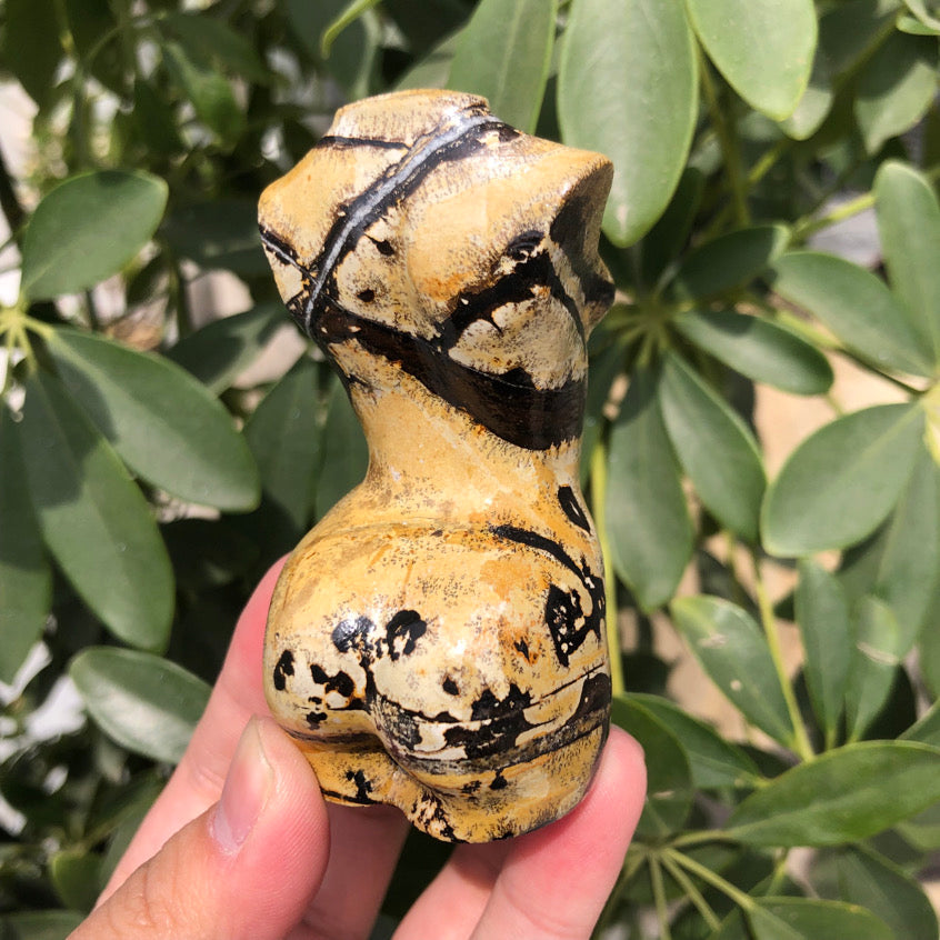 Close-up of a detailed Picture Jasper model highlighting texture and shape.