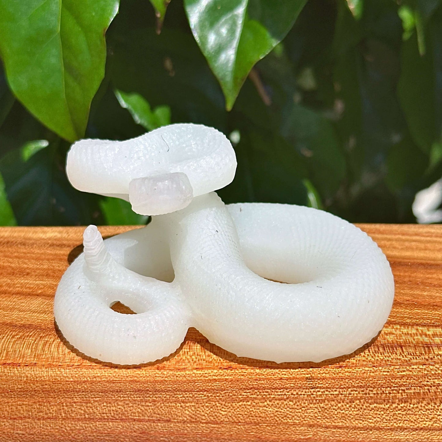 Multi-Material Snake Carving