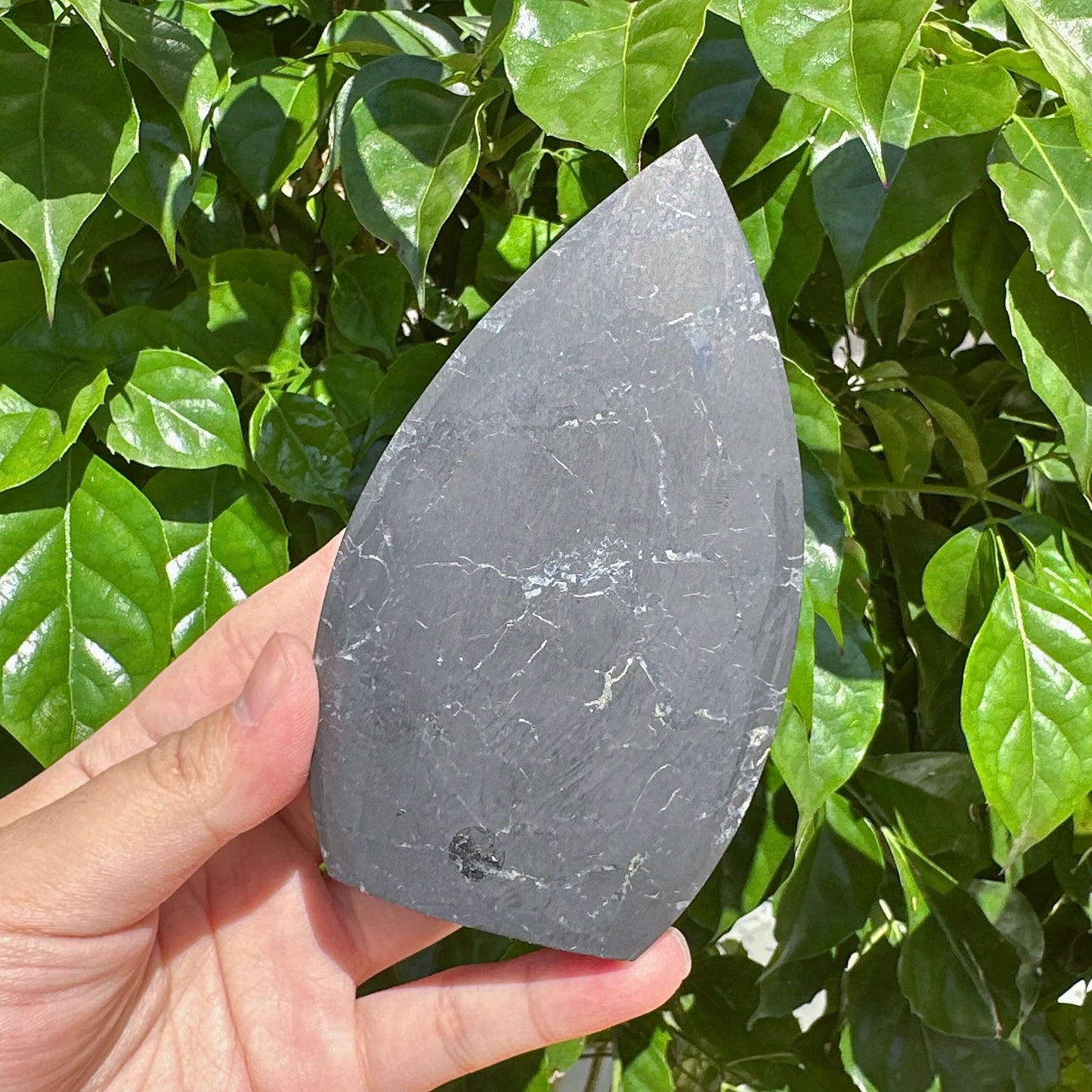 Shungite Teardrop Ornament