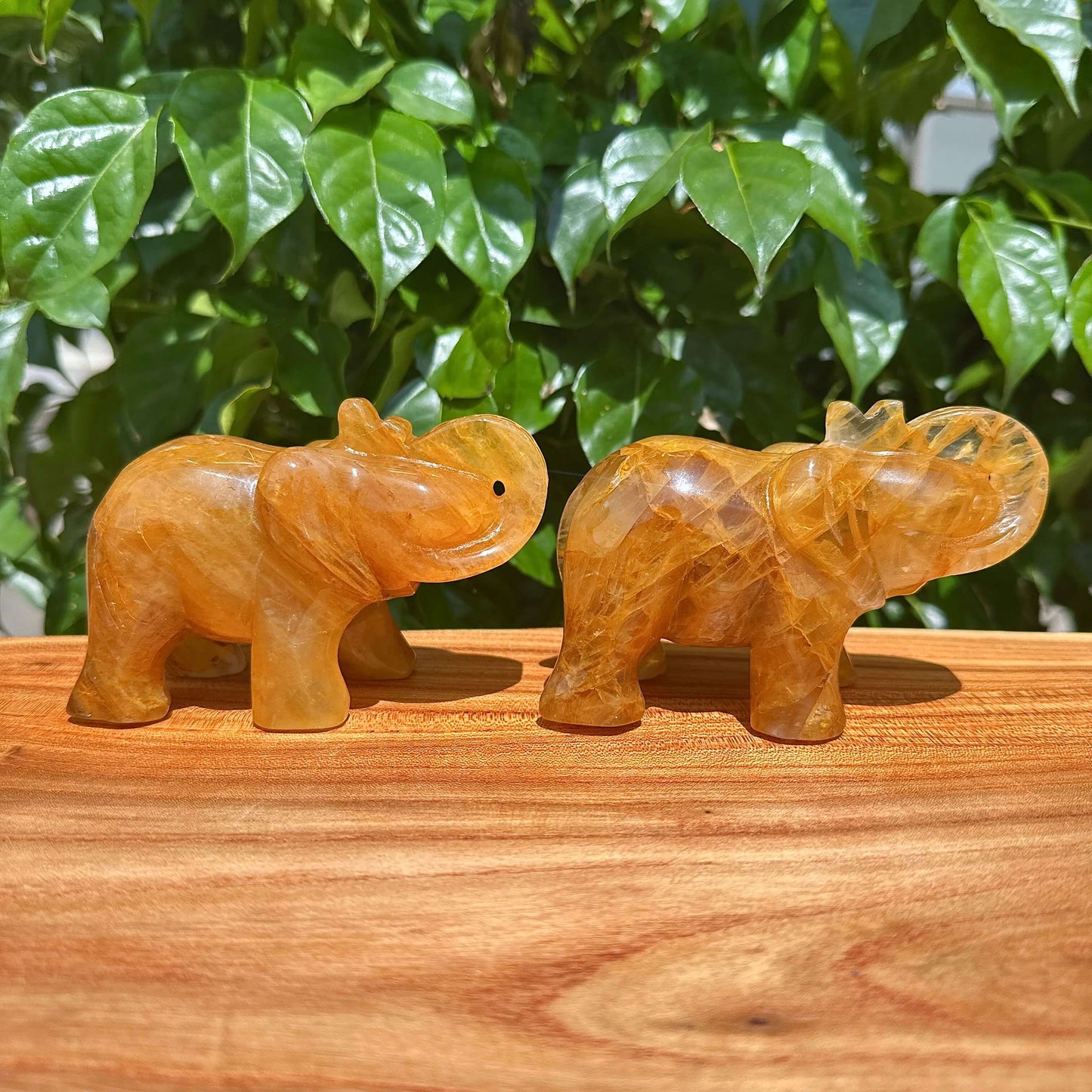 Golden Healer Elephant Carving