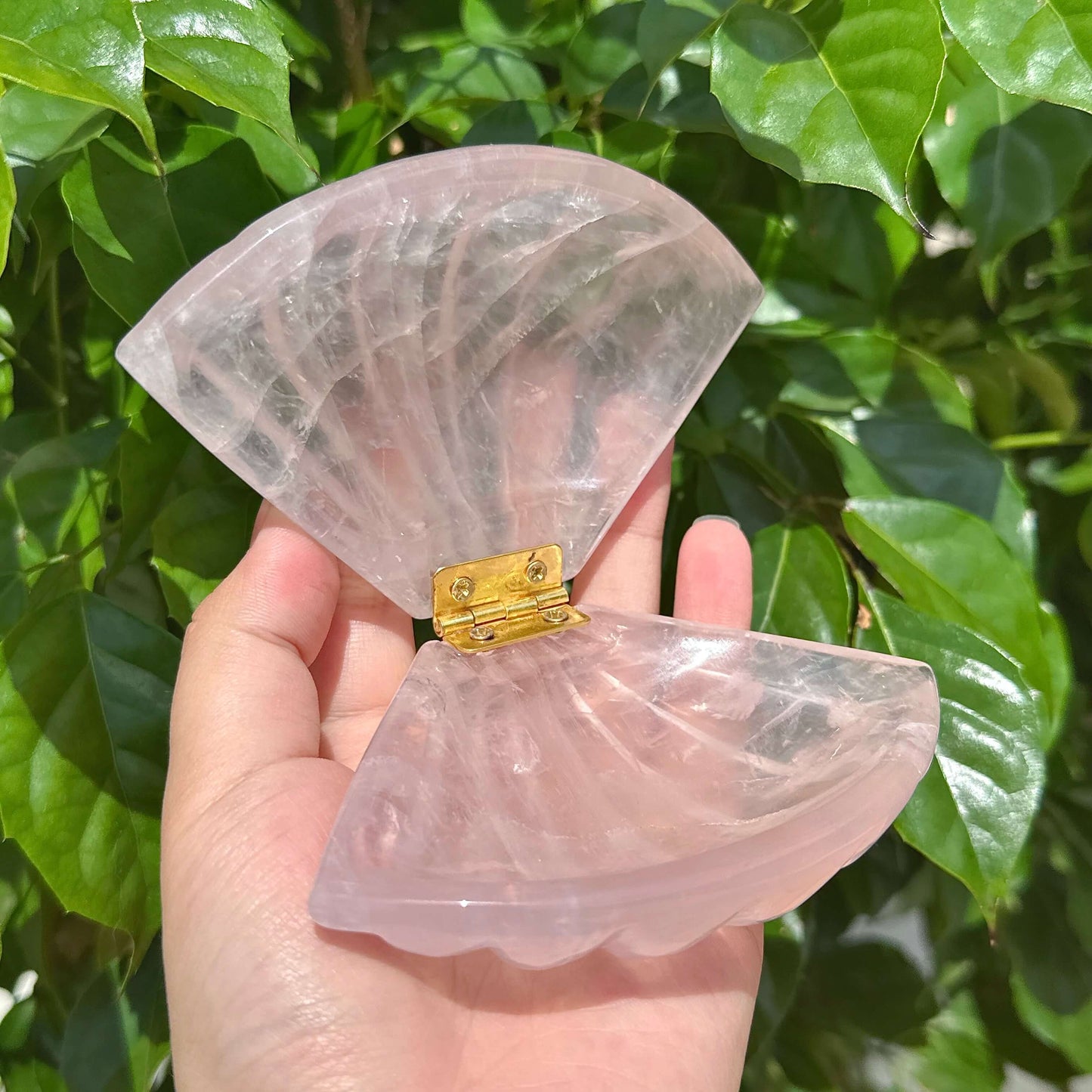 Rose Quartz Shell Carving