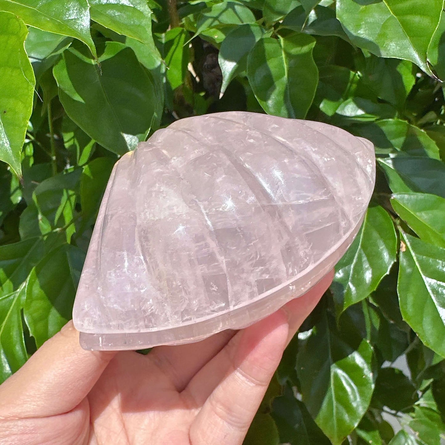 Rose Quartz Shell Carving