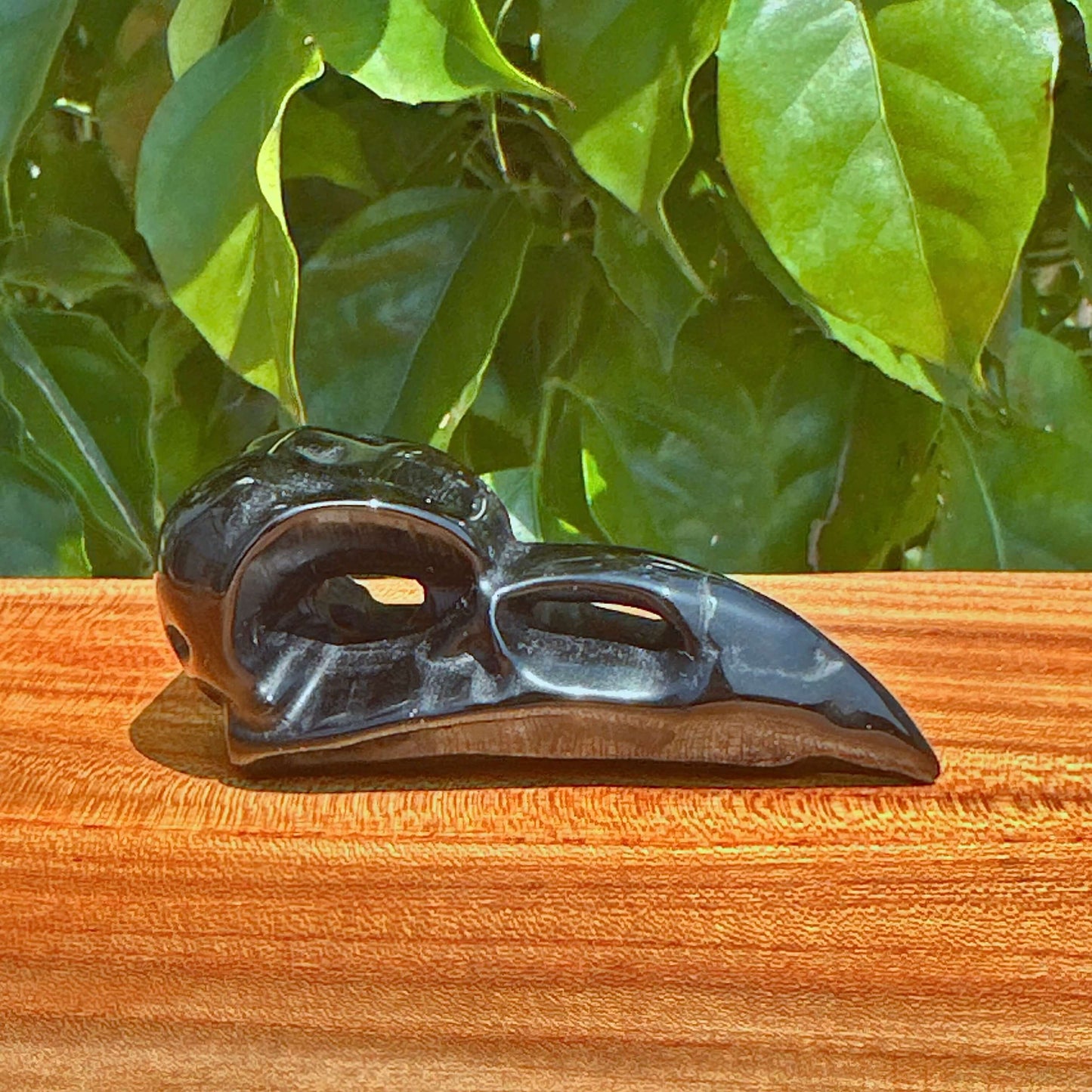 Crystal Crow Skull Carving