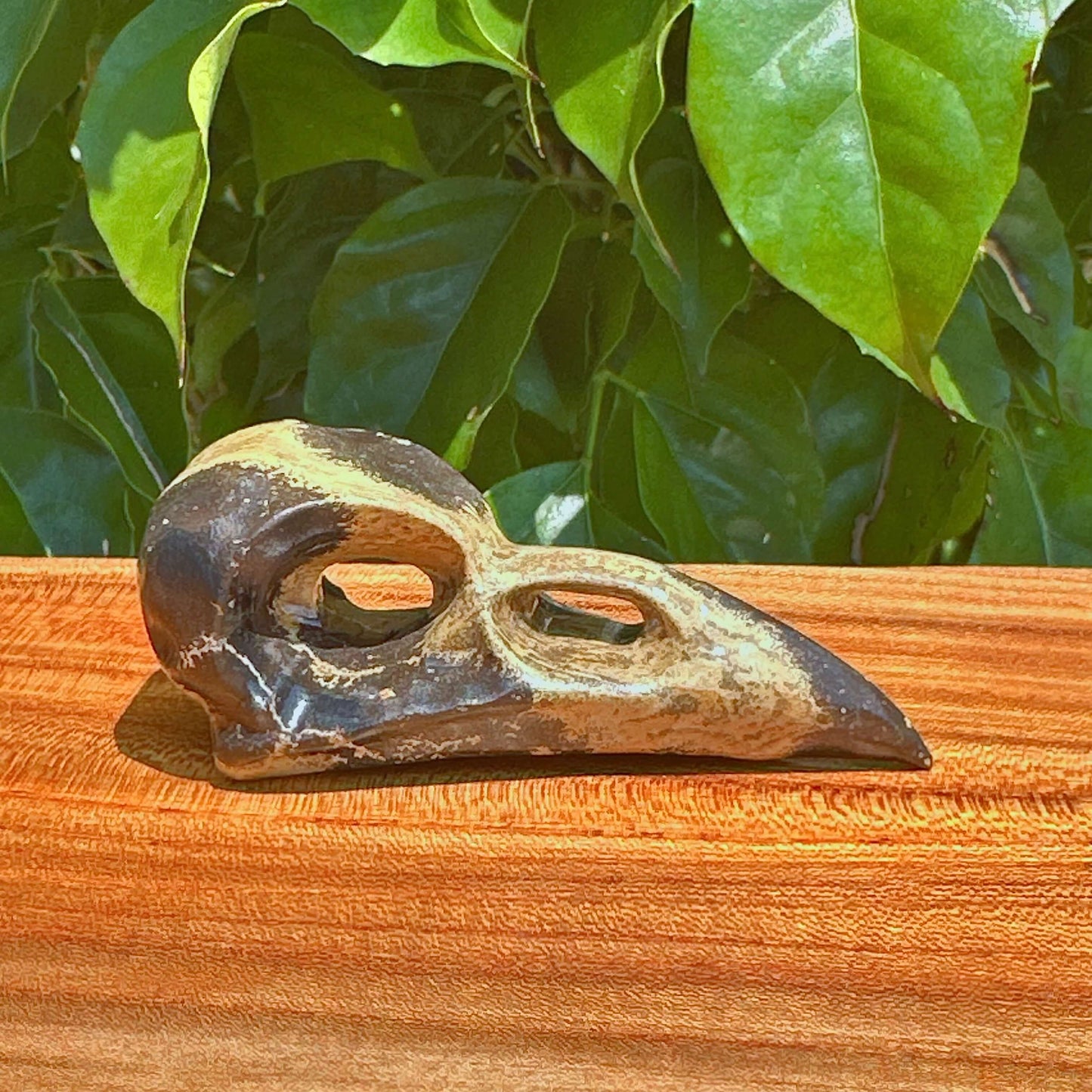 Crystal Crow Skull Carving