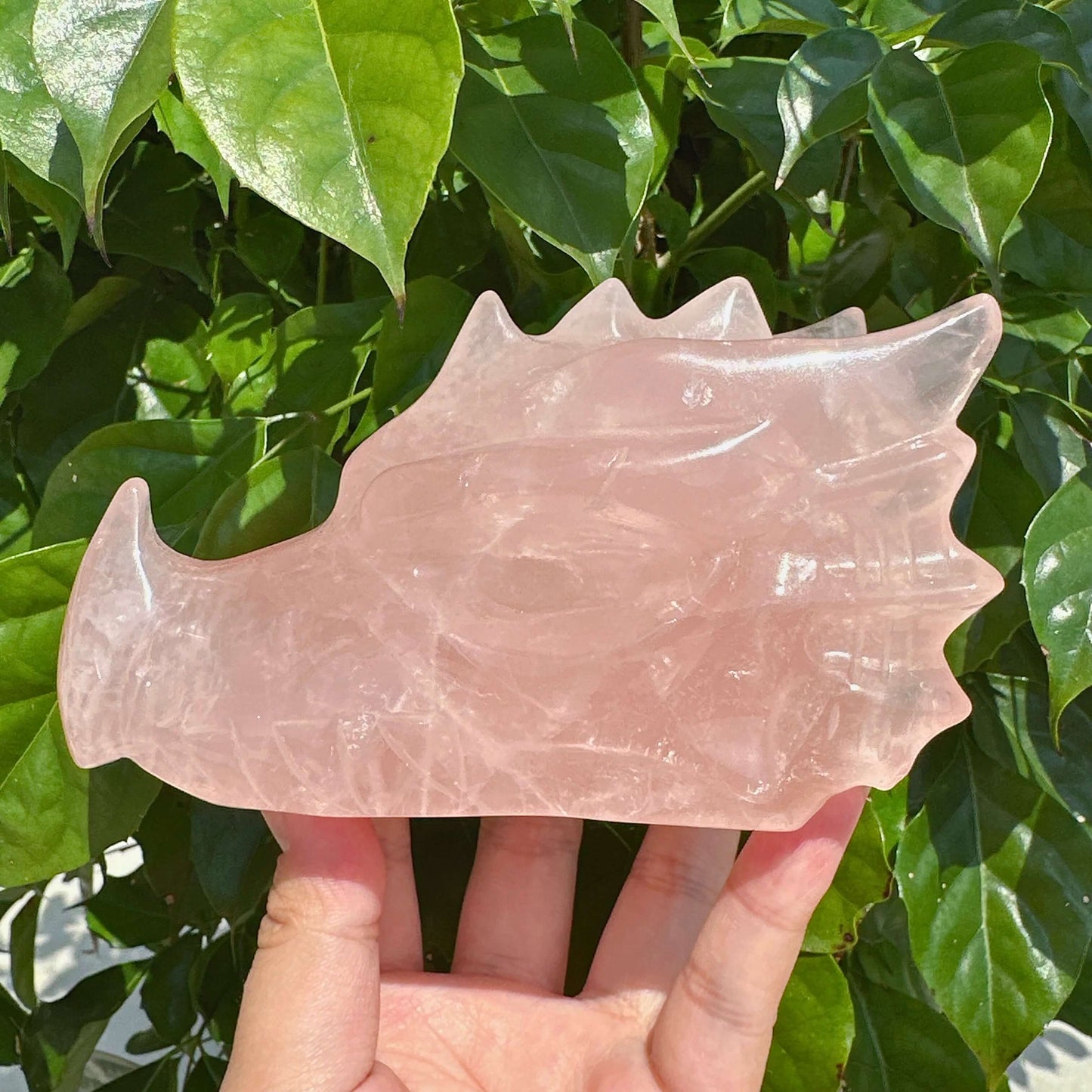 Rose Quartz Dragon Head Carving