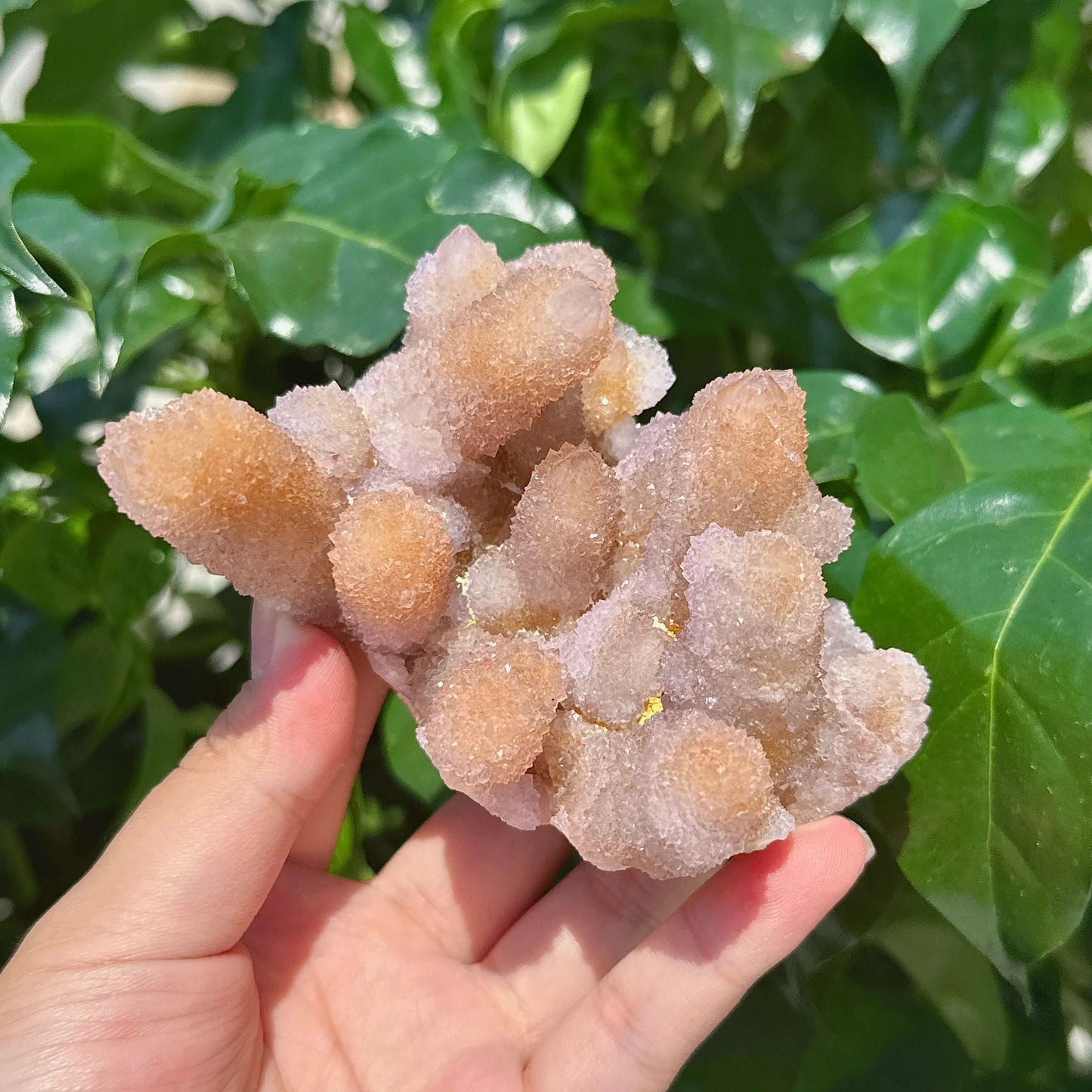 Spirit Quartz Specimen
