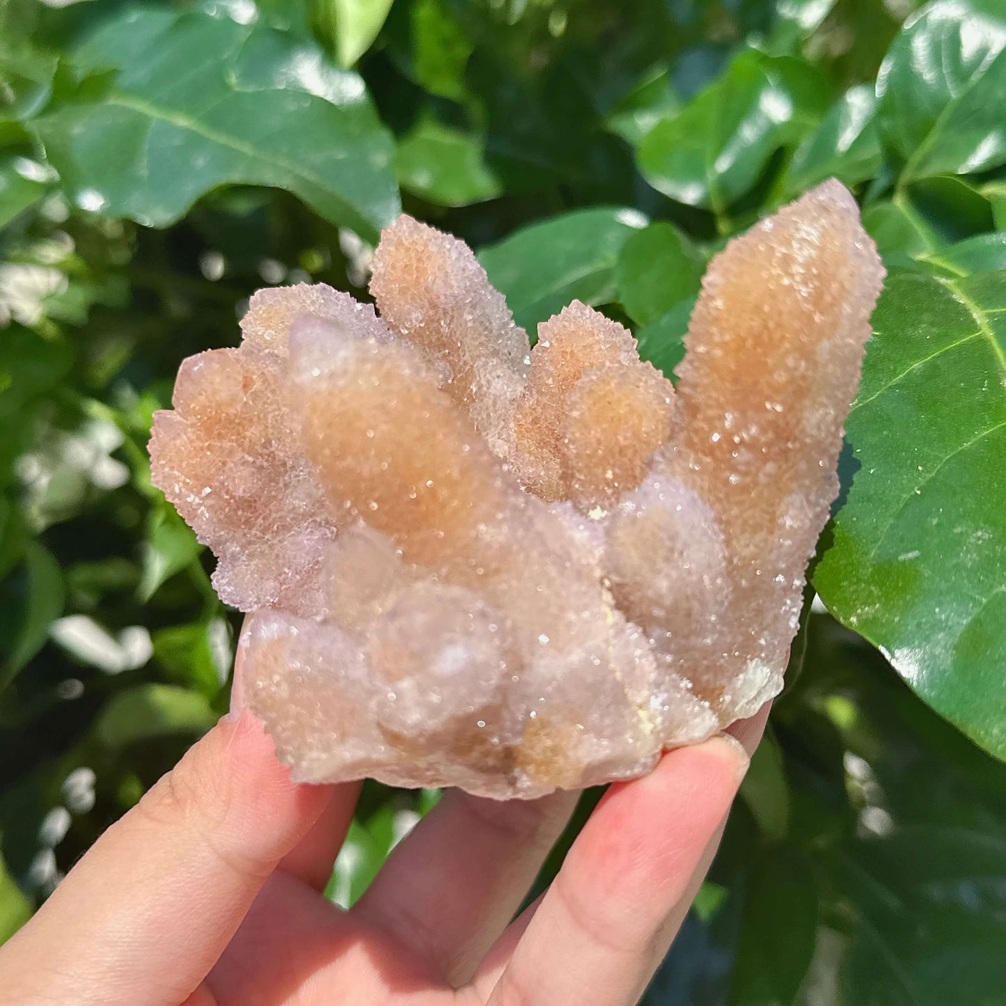 Spirit Quartz Specimen