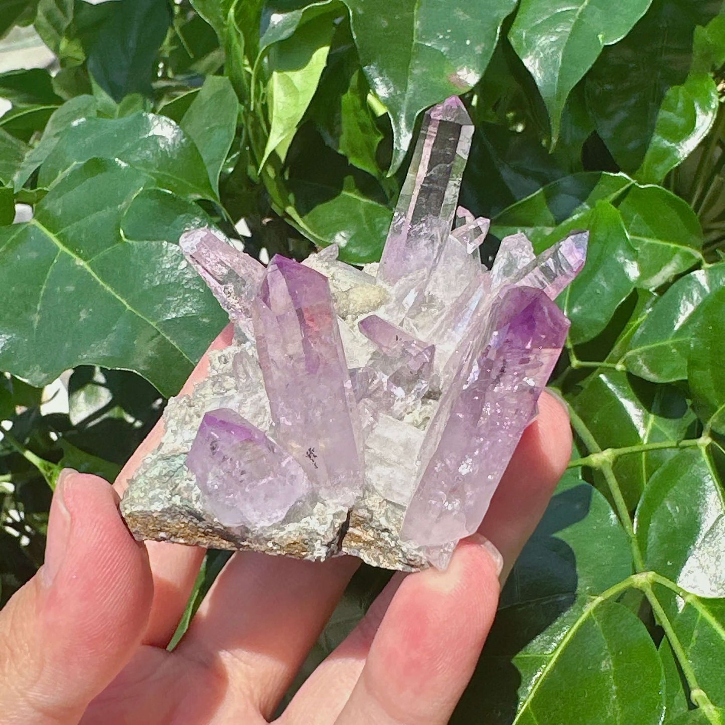 Cruze Amethyst Specimen
