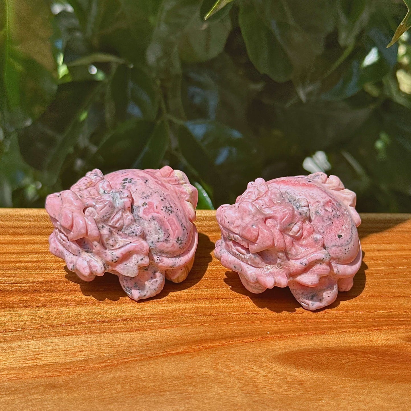 Peruvian Rhodonite Dragon-Turtle Carving