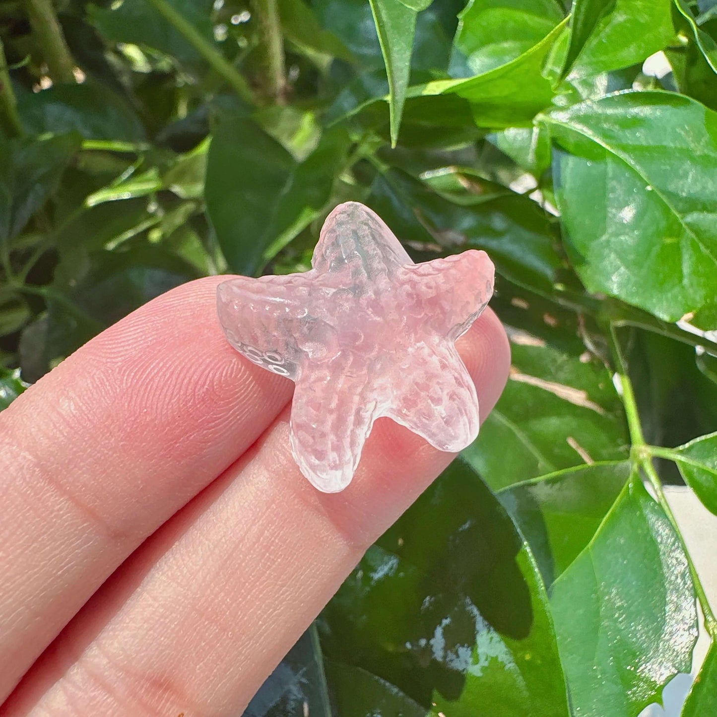 Rose Quartz Starfish Carving