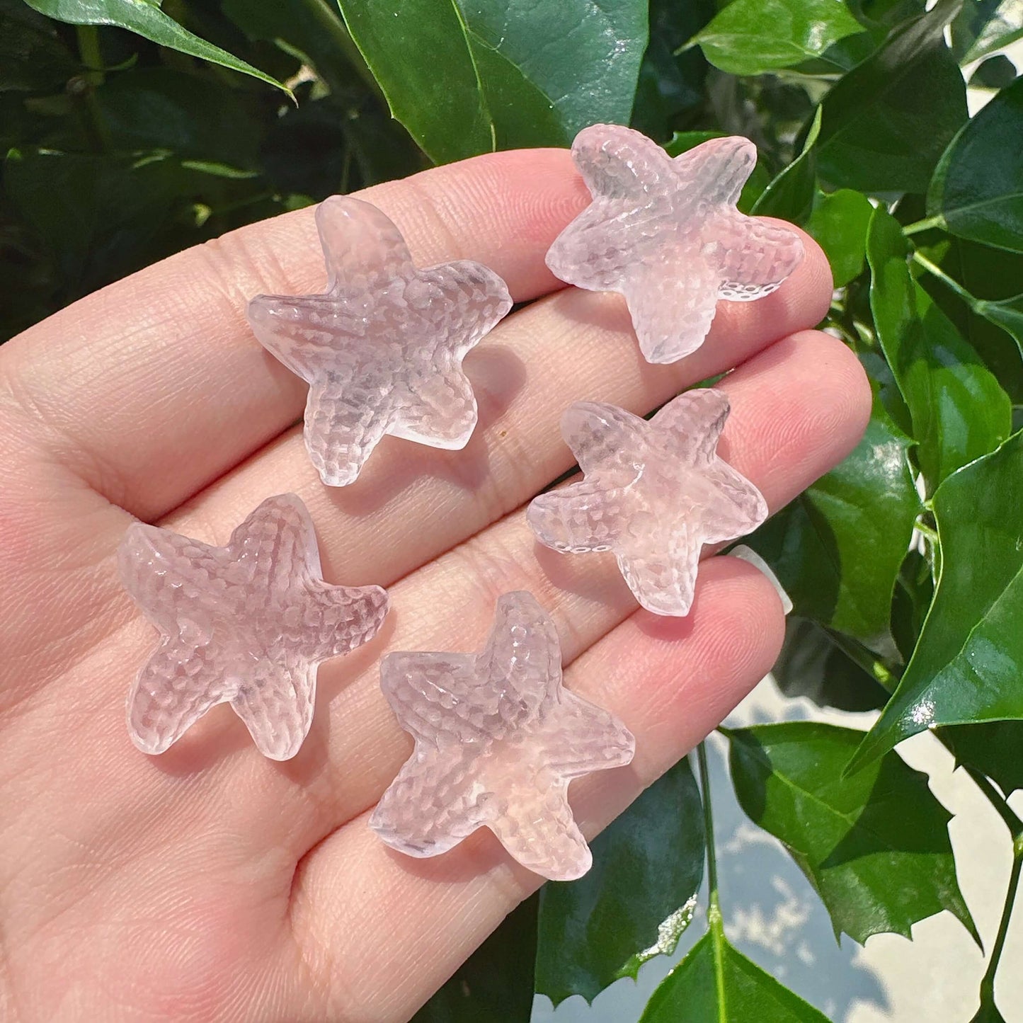 Rose Quartz Starfish Carving