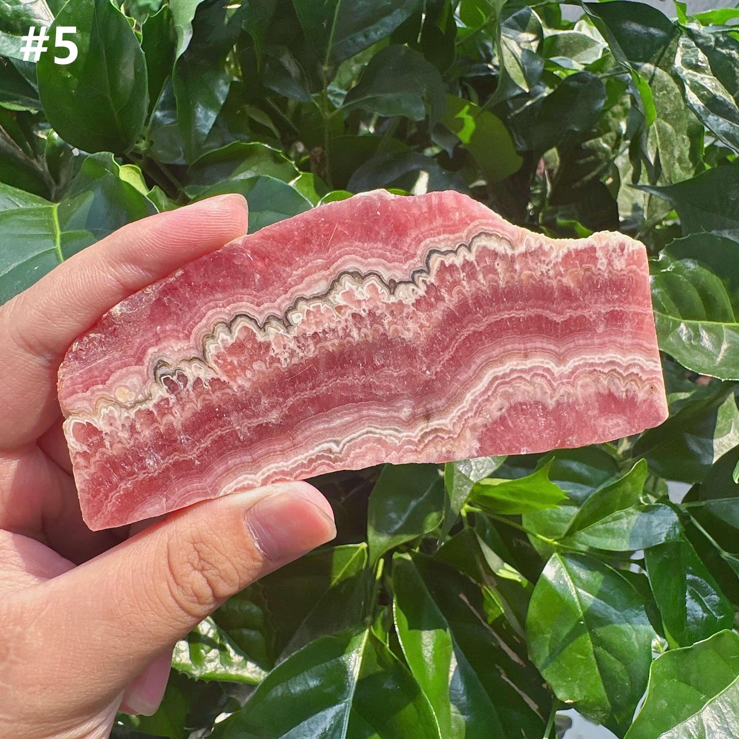 Rhodochrosite Slab