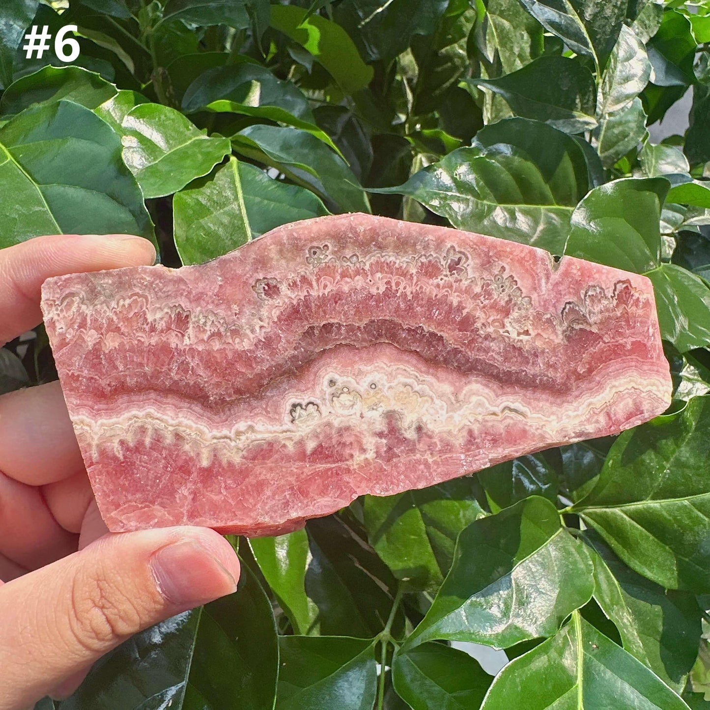 Rhodochrosite Slab