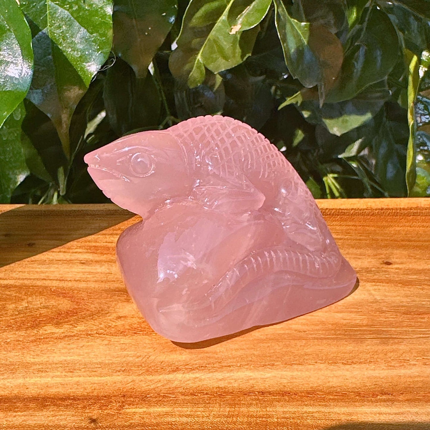 Rose Quartz Lizard Carving