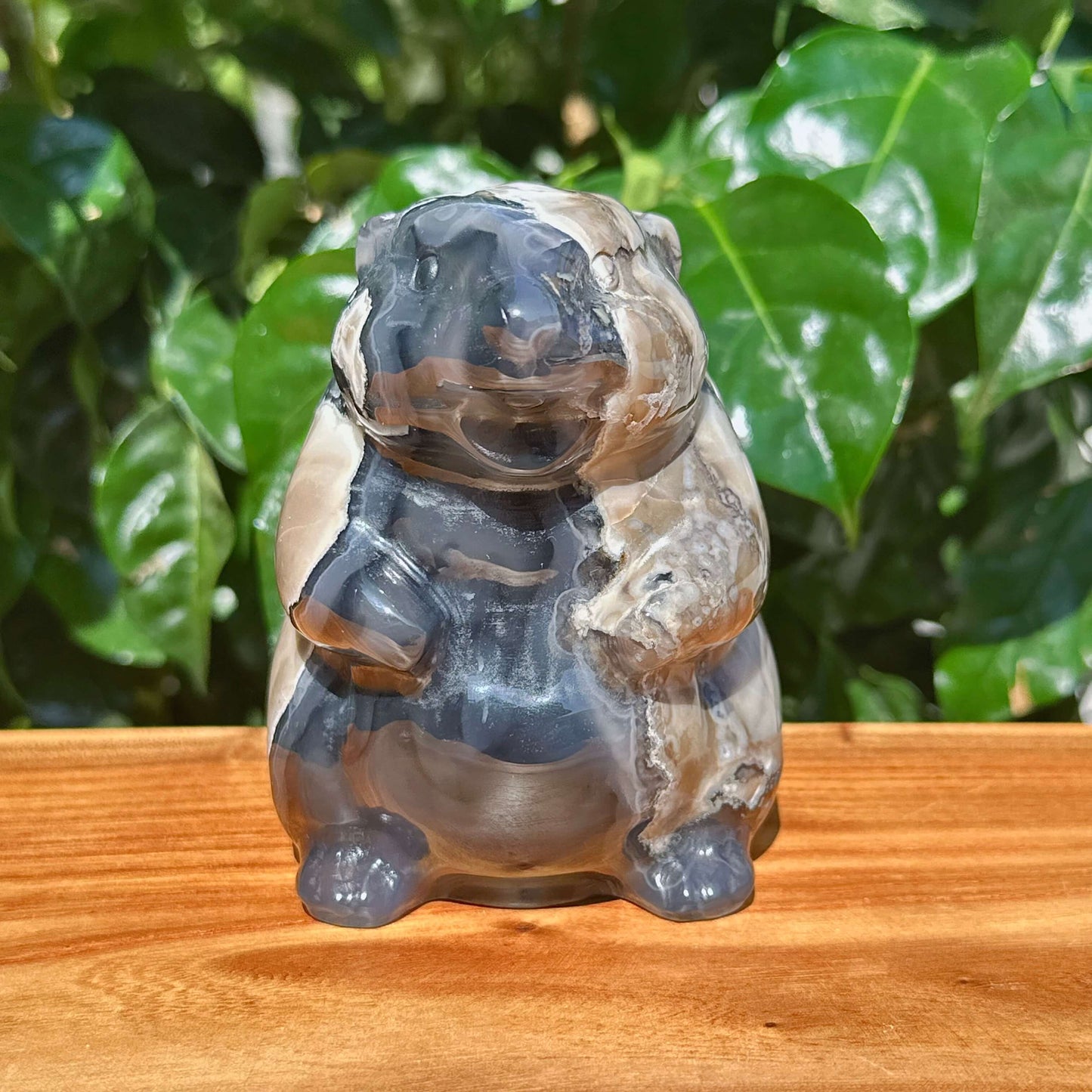 Valcano Agate Groundhog Carving