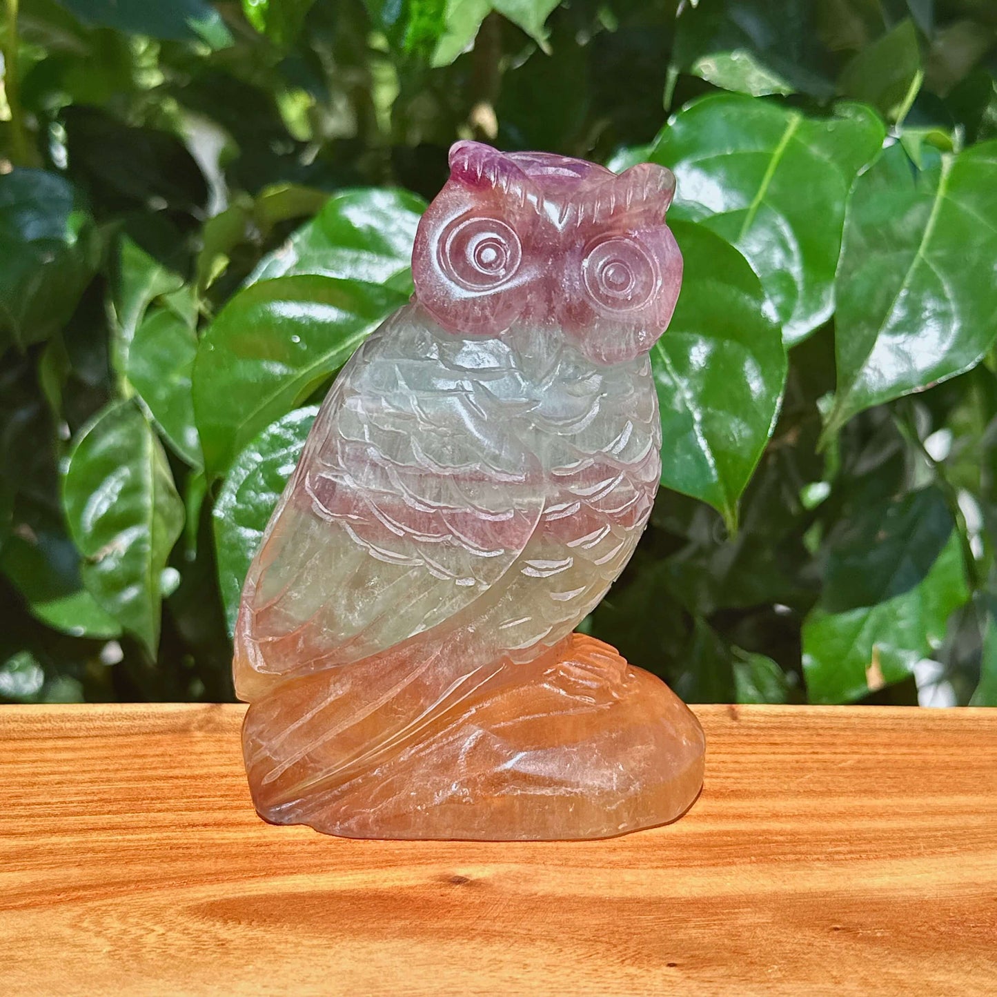 Fluorite Owl Carving