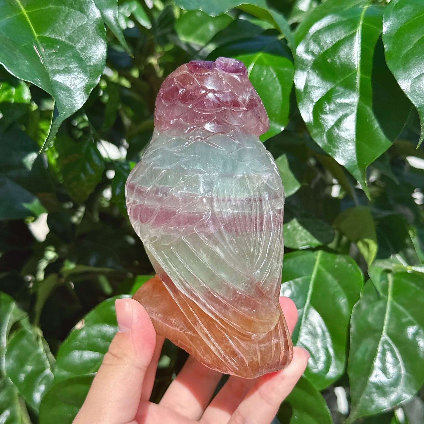 Fluorite Owl Carving