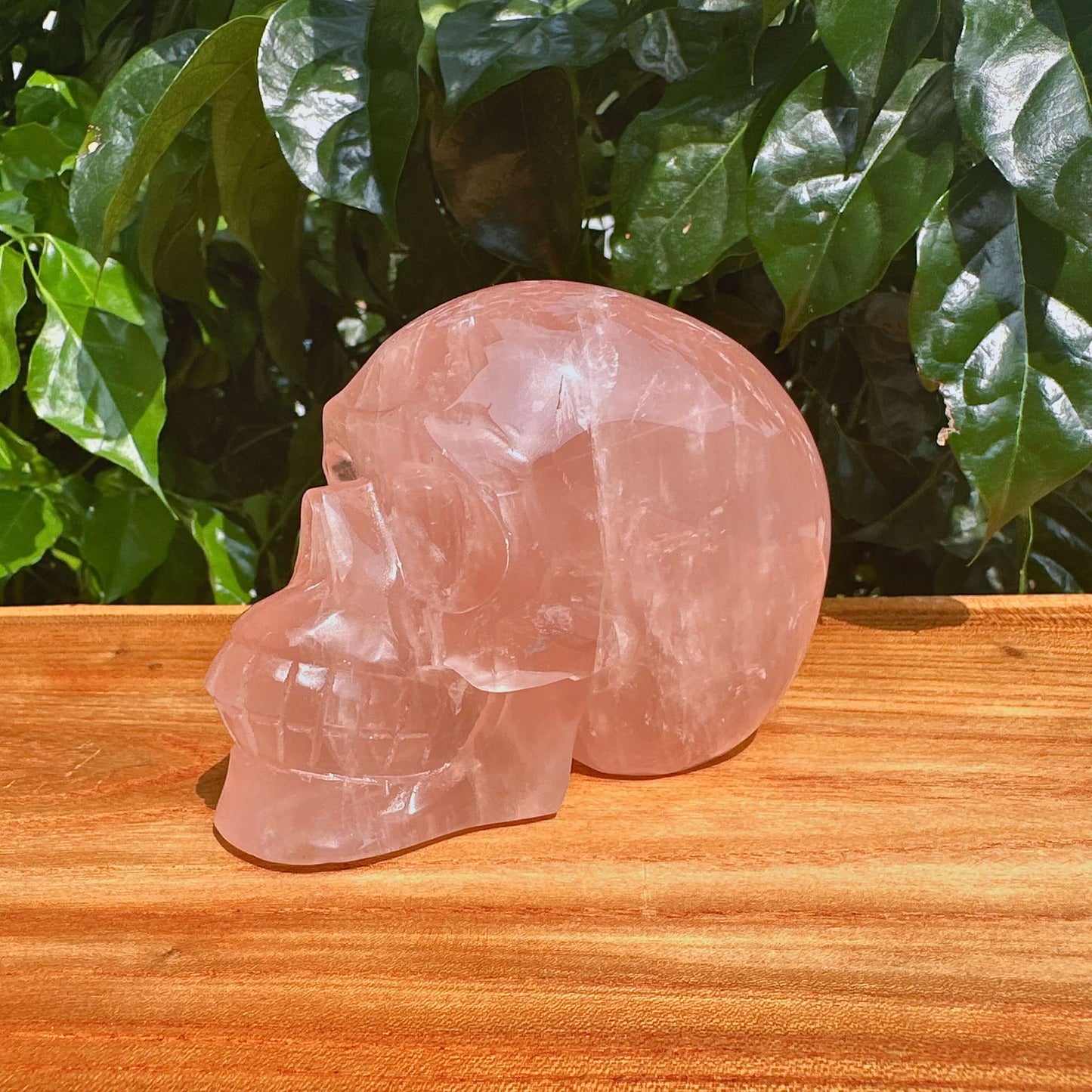 Rose Quartz Skull Carving
