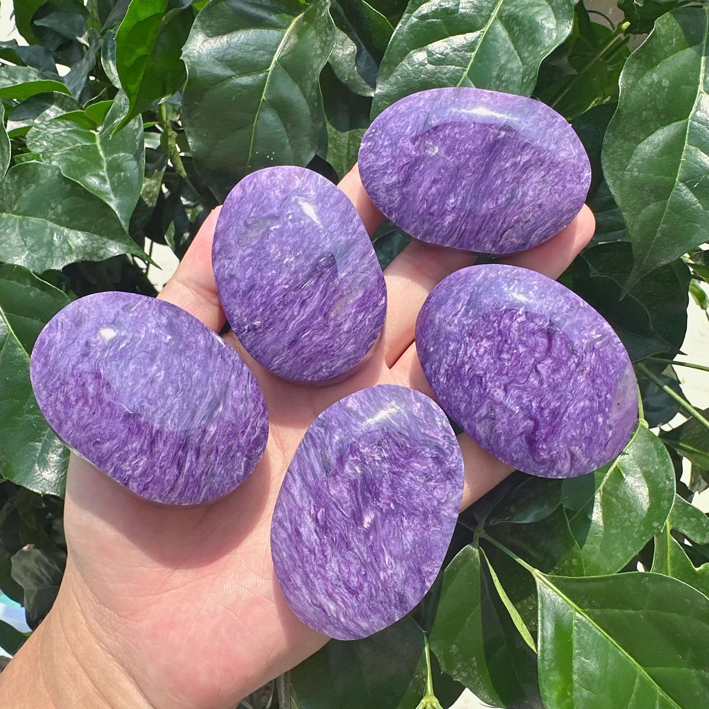 Charoite Palm