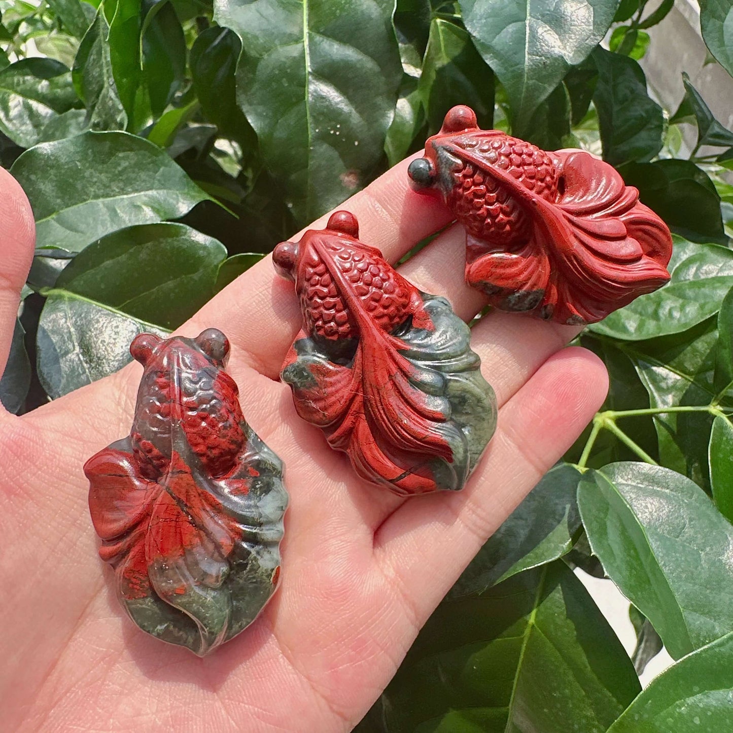 African Bloodstone Goldfish Carving