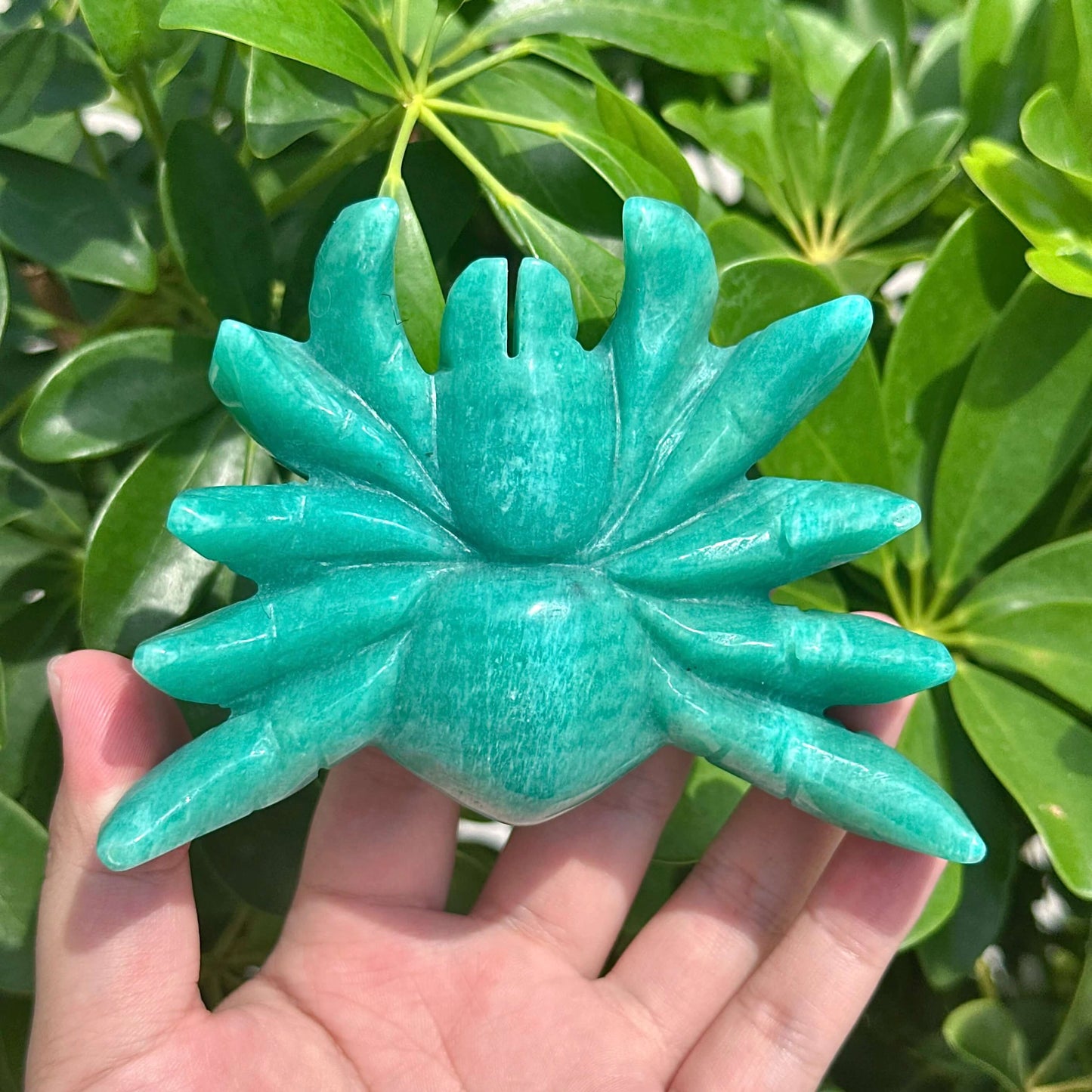 Amazonite Spider Carving
