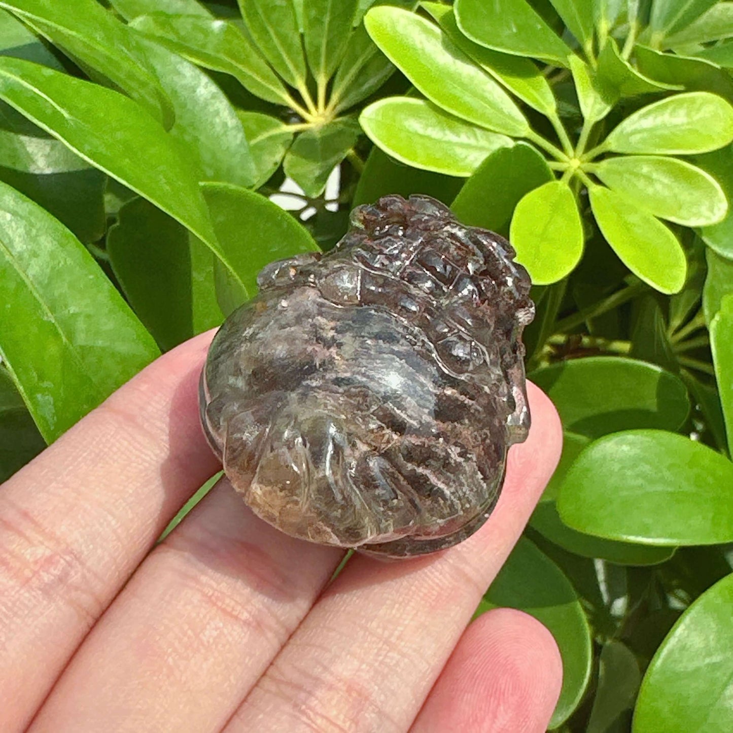 Garden Quartz Dragon-Turtle Carving