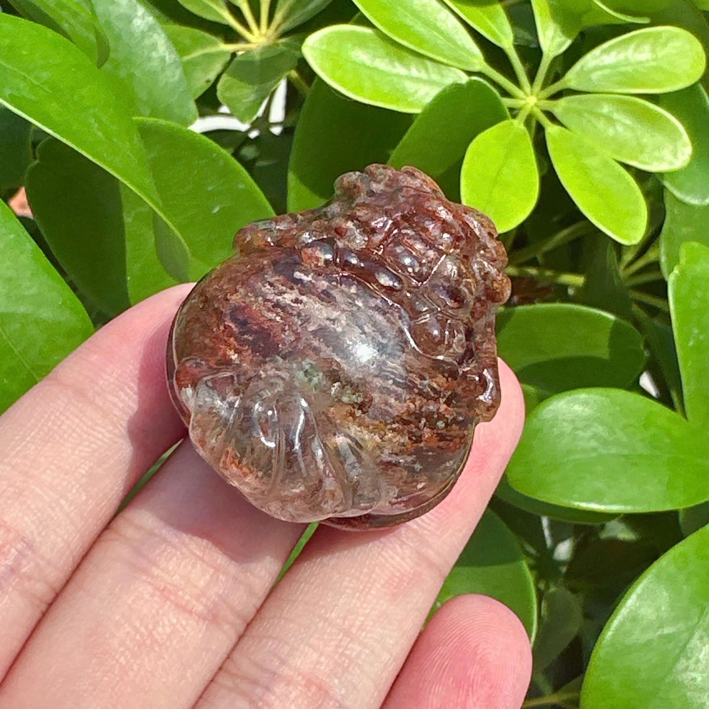 Garden Quartz Dragon-Turtle Carving