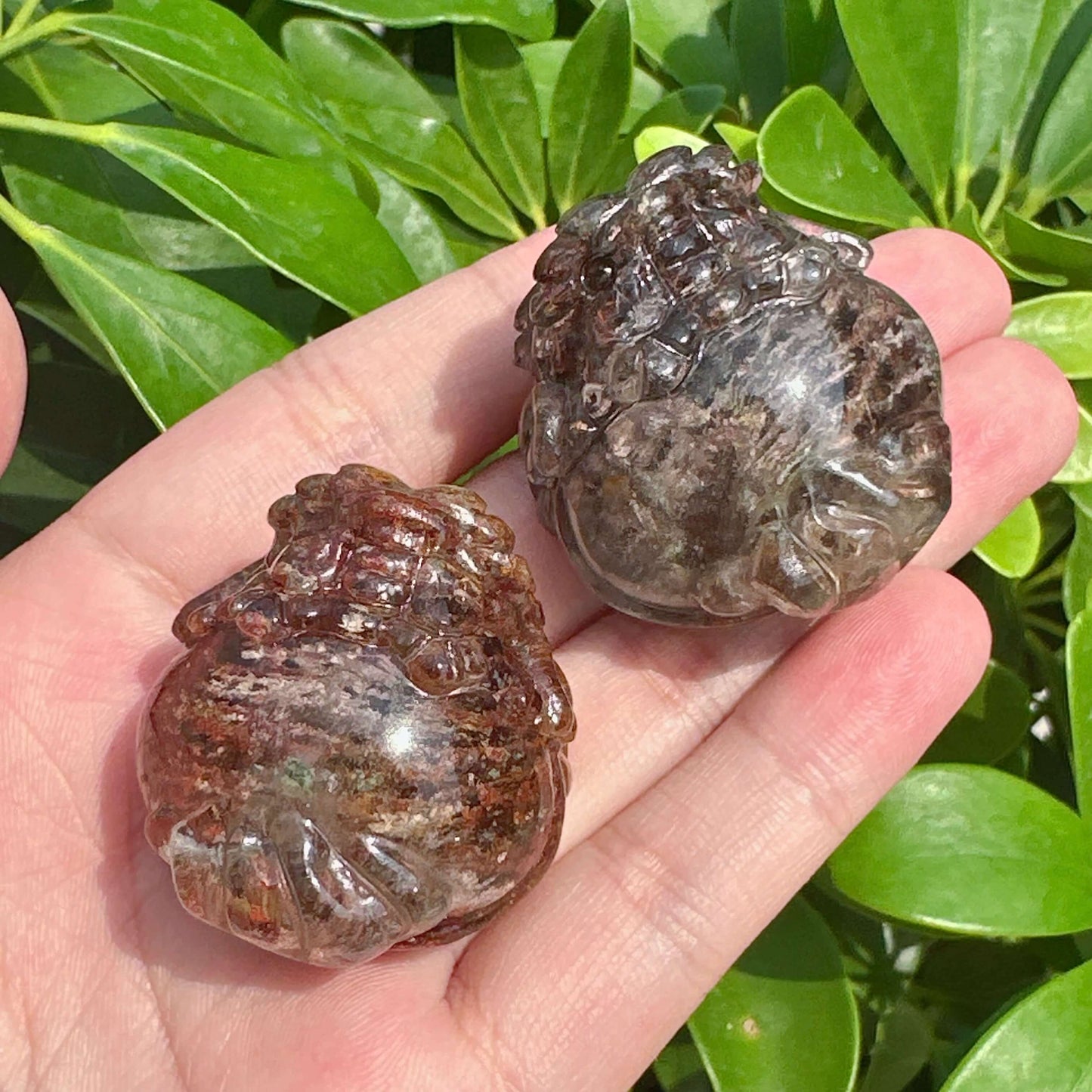 Garden Quartz Dragon-Turtle Carving