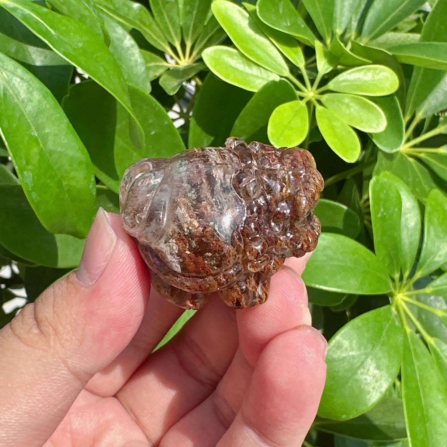 Garden Quartz Dragon-Turtle Carving