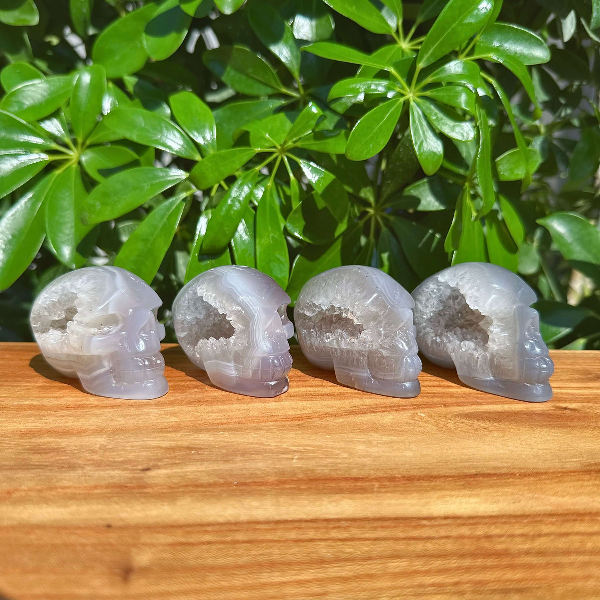 Druzy Geode Agate Skull Carving