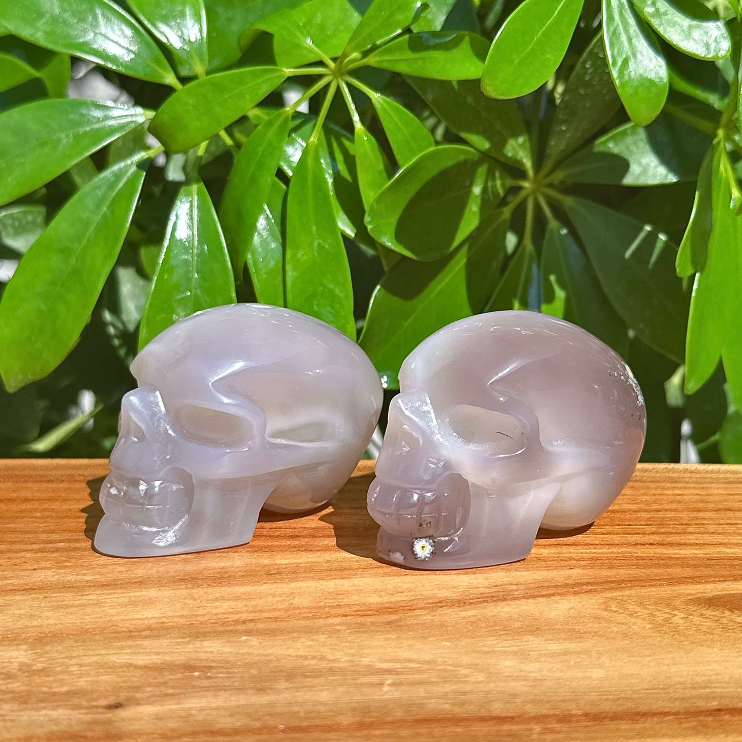Druzy Geode Agate Skull Carving