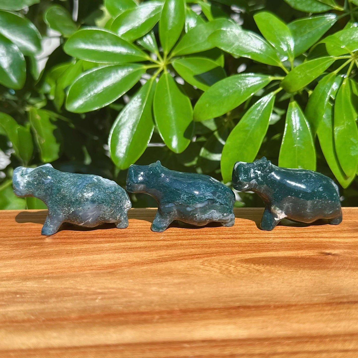 Moss Agate Hippo Carving