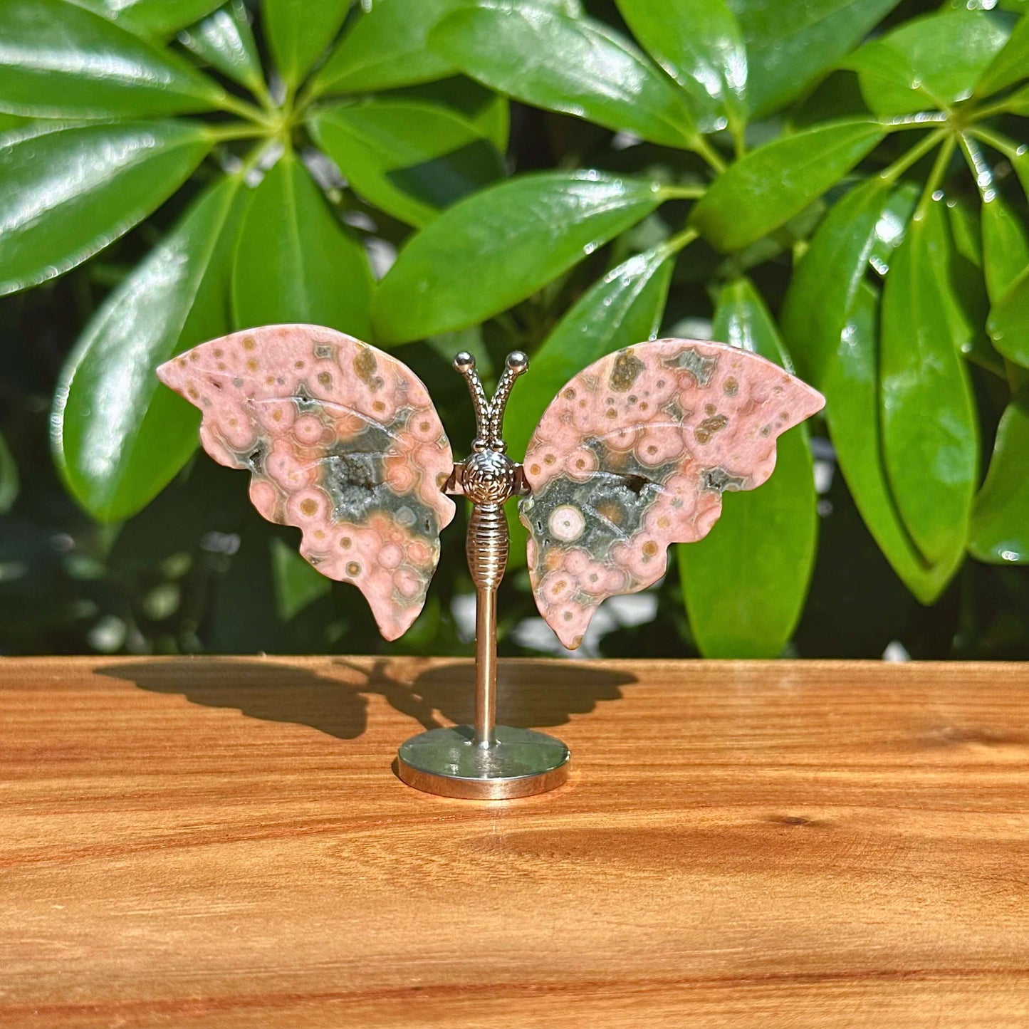 8th Vein Ocean Jasper Butterfly