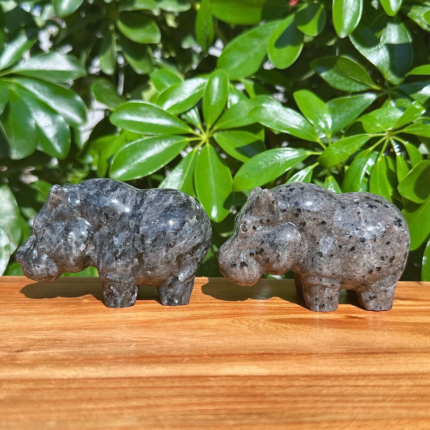 Crystal Hippo Carving