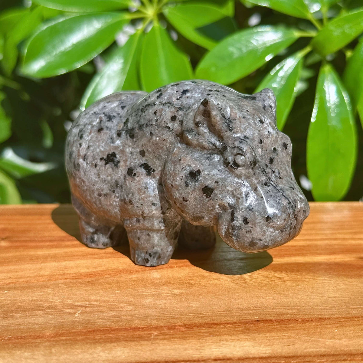 Crystal Hippo Carving