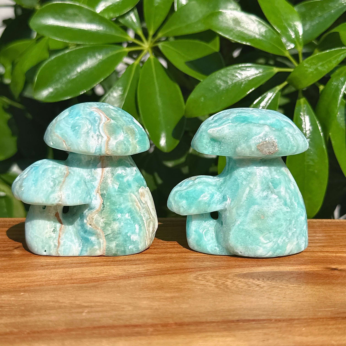 Hemimorphite Mushroom Carving