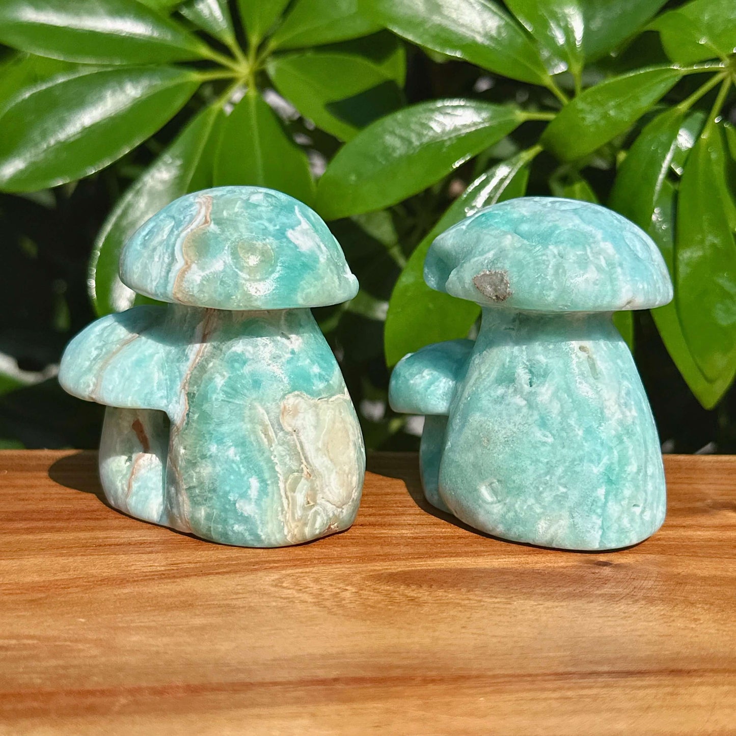 Hemimorphite Mushroom Carving