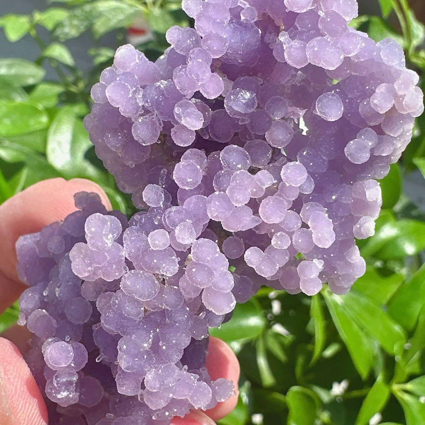 Grape Agate with Clear Quartz Specimen