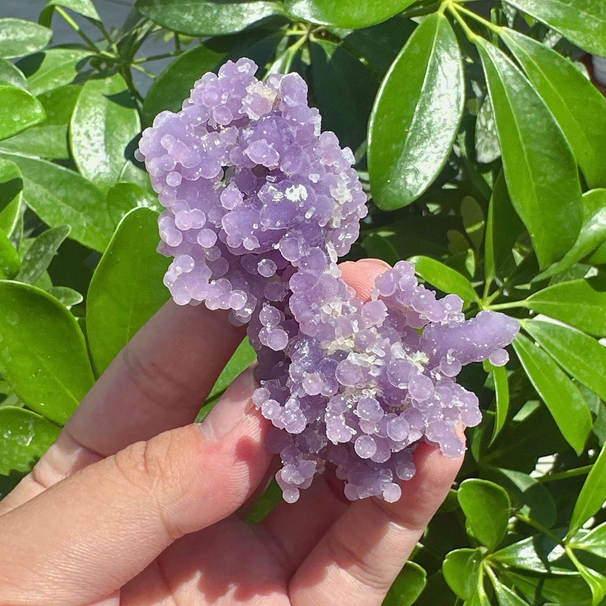 Grape Agate with Clear Quartz Specimen