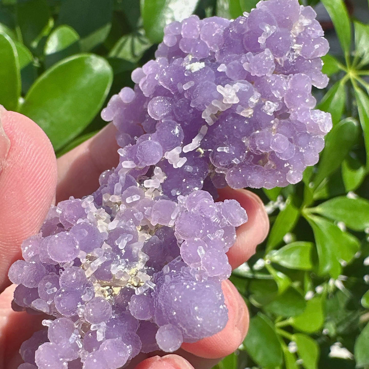 Grape Agate with Clear Quartz Specimen