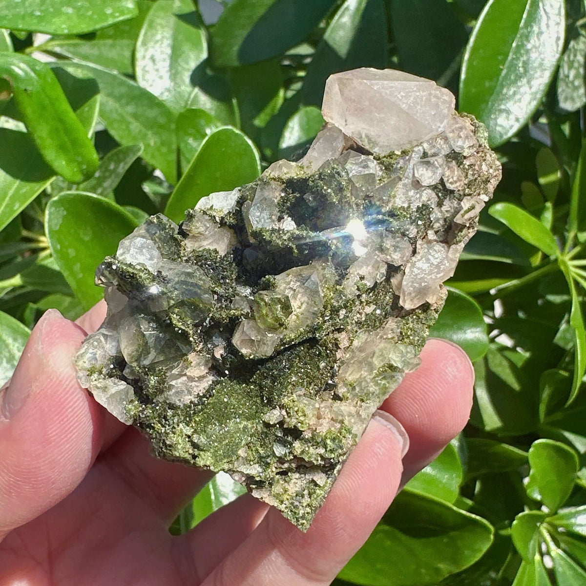 Epidote with Clear Quartz Specimem