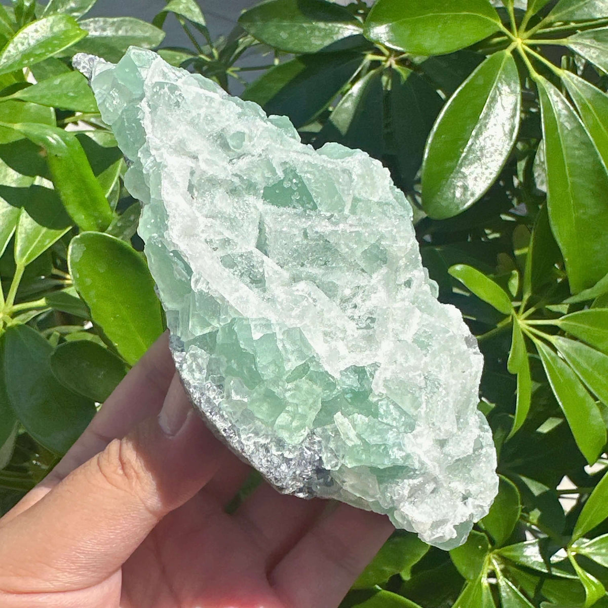 Sugar-textured Fluorite with Clear Quartz Specimen